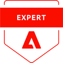 Badge Expert